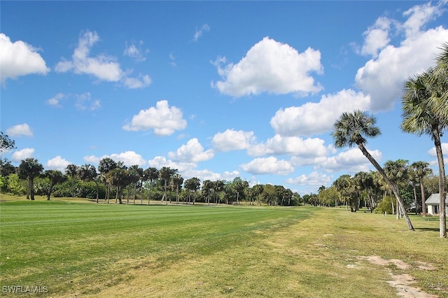 view of community featuring a yard