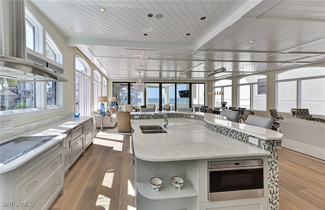 kitchen with open shelves, light wood-style flooring, plenty of natural light, a sink, and open floor plan