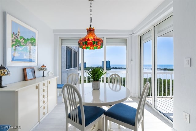 dining area with a water view, plenty of natural light, and light wood-style flooring