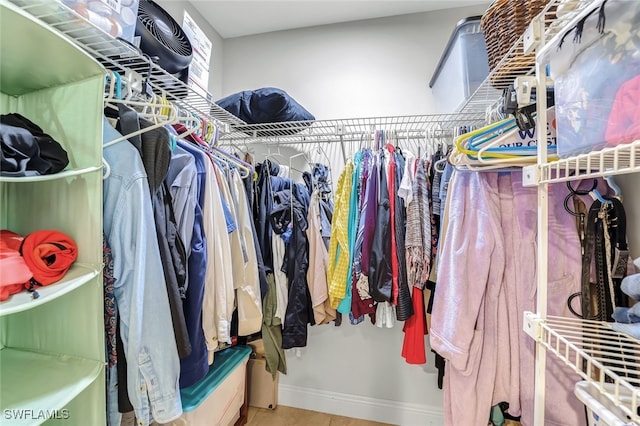 view of spacious closet