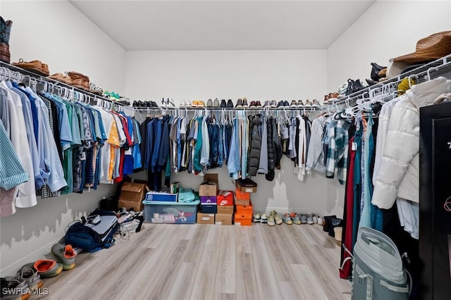 spacious closet with hardwood / wood-style flooring