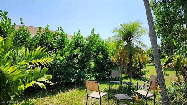 10800 Habitat Cir, Bokeelia, FL 33922 - view of grassy yard