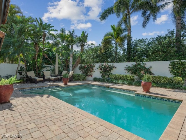 view of swimming pool with a patio area