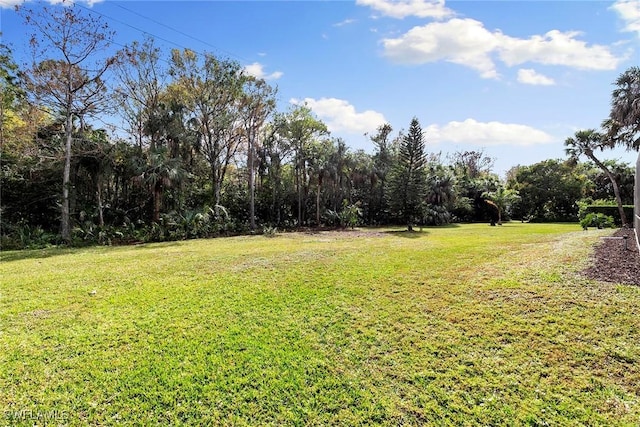 view of yard