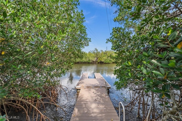 dock area with a water view