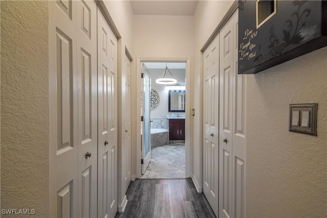 hallway with dark hardwood / wood-style floors