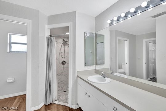 bathroom featuring vanity, wood-type flooring, toilet, and a shower with shower curtain