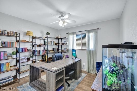 office featuring light hardwood / wood-style floors and ceiling fan