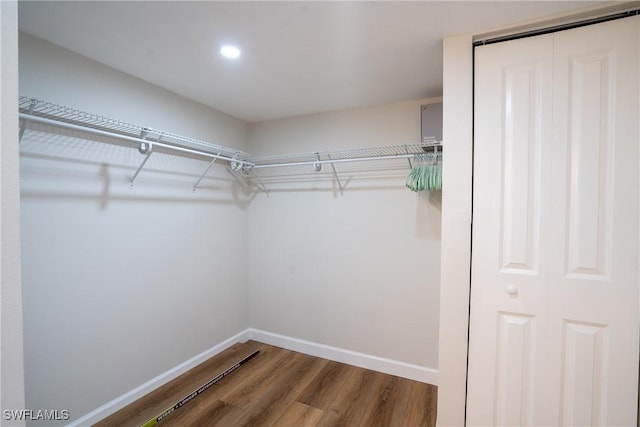 spacious closet featuring wood finished floors