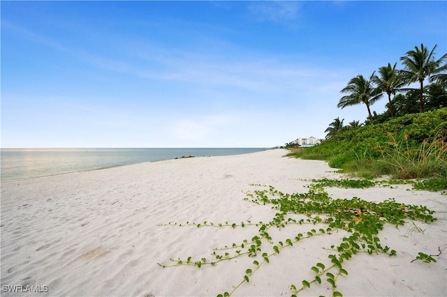 532 Pine Grove Ln, Naples, FL 34103 - water view featuring a view of the beach