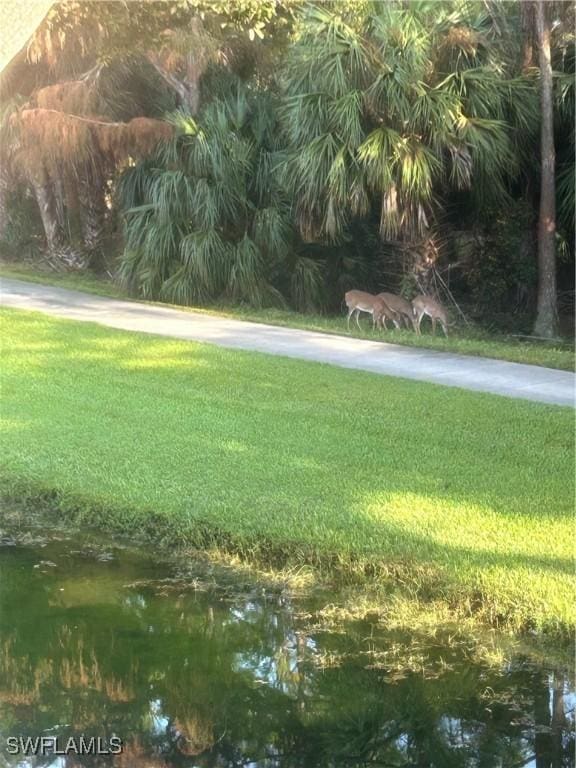 5644 Sandlewood Ct Unit 1903, Naples, FL 34110 - view of grassy yard