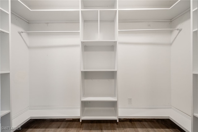 spacious closet with wood finished floors