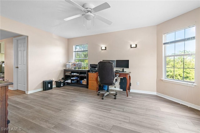 home office with light wood finished floors, a ceiling fan, and baseboards