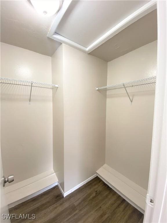 spacious closet featuring dark wood-type flooring