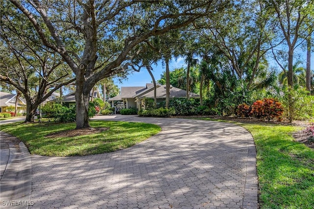 view of front of home with a front yard