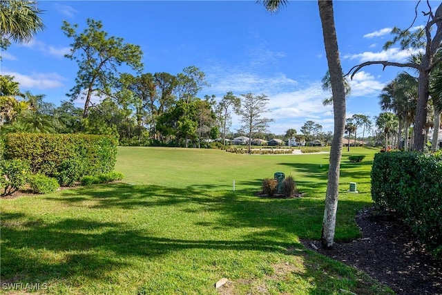 view of community featuring a lawn