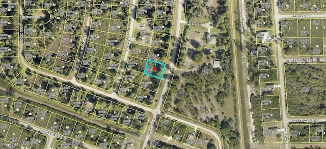 1237 Grant Blvd, Lehigh Acres FL, 33974 land for sale