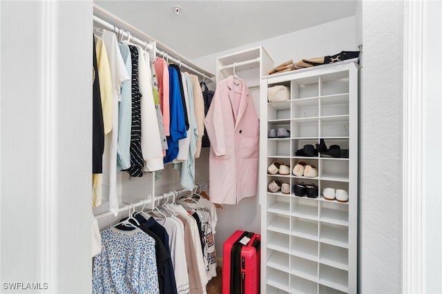 view of walk in closet