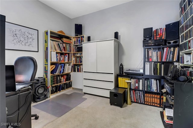 office featuring light carpet
