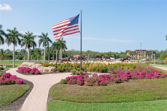 view of property's community featuring a lawn