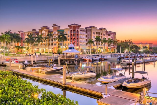 dock area with a water view