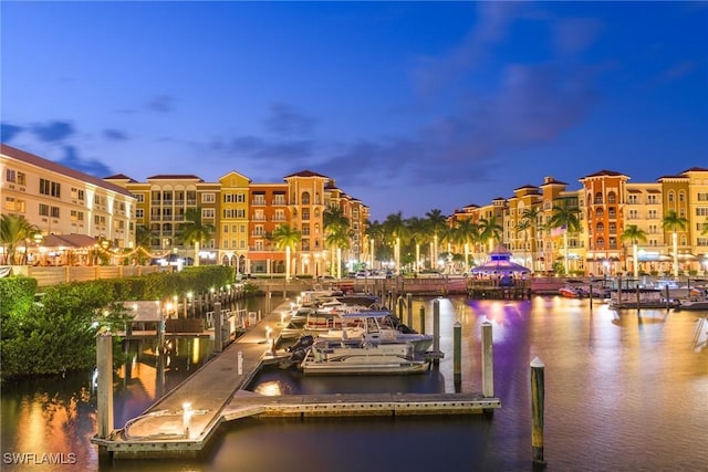 dock area featuring a water view