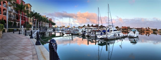 dock area featuring a water view