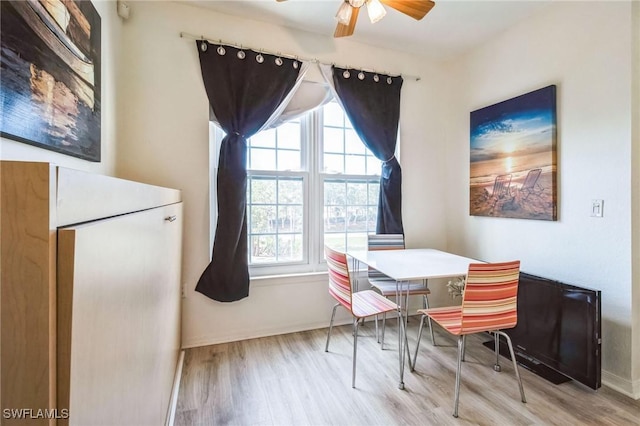 dining room with ceiling fan and light wood-type flooring