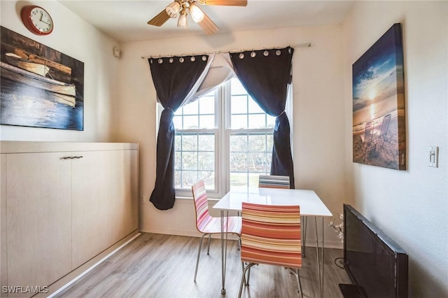 dining room with ceiling fan and light wood-type flooring