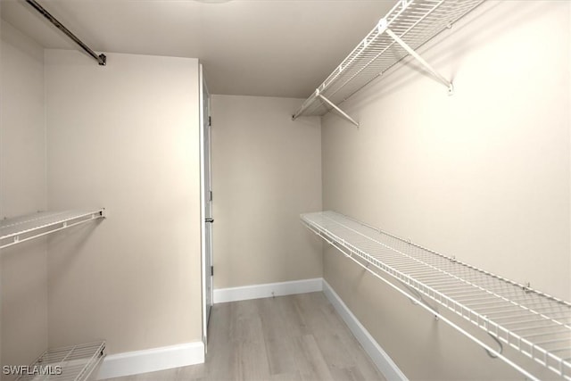 spacious closet featuring light wood-type flooring