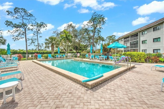 view of pool featuring a patio