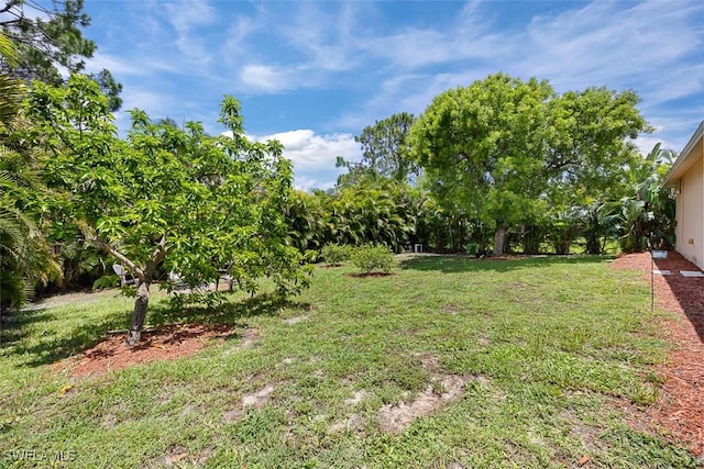 4013 NE 10th Pl, Cape Coral, FL 33909 - photo 18