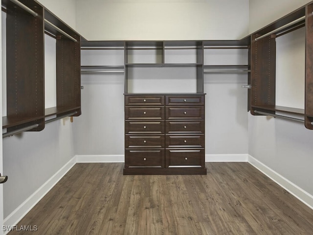 walk in closet with dark hardwood / wood-style floors