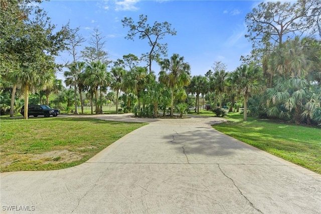 view of property's community featuring a yard