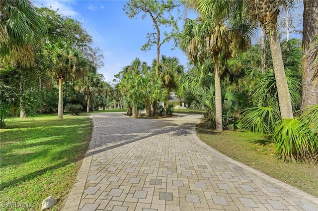 view of property's community featuring decorative driveway and a yard