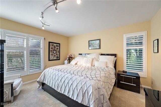 carpeted bedroom with multiple windows and track lighting