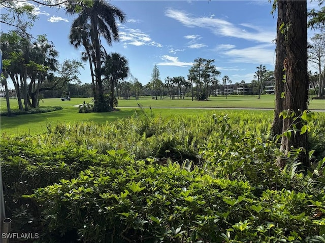 view of property's community with a lawn