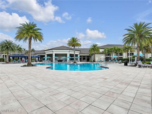 view of swimming pool with a patio area