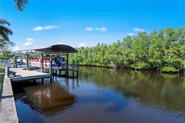 dock area featuring a water view