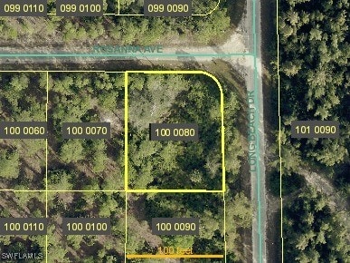 301 Rosanna Ave, Lehigh Acres FL, 33972 land for sale