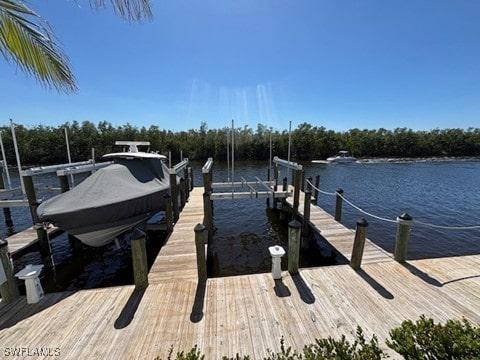 view of dock with a water view and boat lift