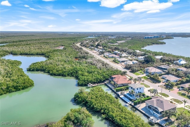 aerial view with a water view