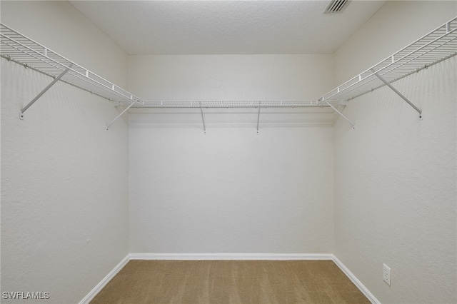 spacious closet featuring carpet floors and visible vents