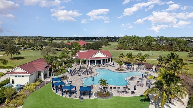 view of pool featuring a patio and a yard