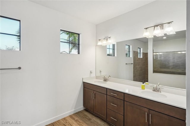 bathroom with a sink, baseboards, wood finished floors, and double vanity