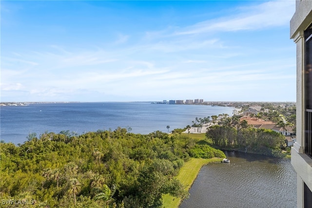 11600 Court Of Palms Unit 606, Fort Myers, FL 33908 - water view