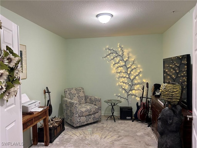 sitting room with carpet flooring and a textured ceiling