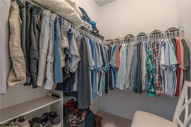 spacious closet featuring carpet floors