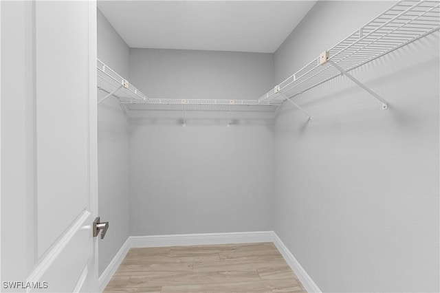 spacious closet featuring hardwood / wood-style floors