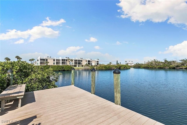 dock area with a water view